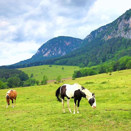 Glamping Hohe Wand - Zelt Mit Sternenfenster Und Whirlpool 호텔 Maiersdorf 외부 사진