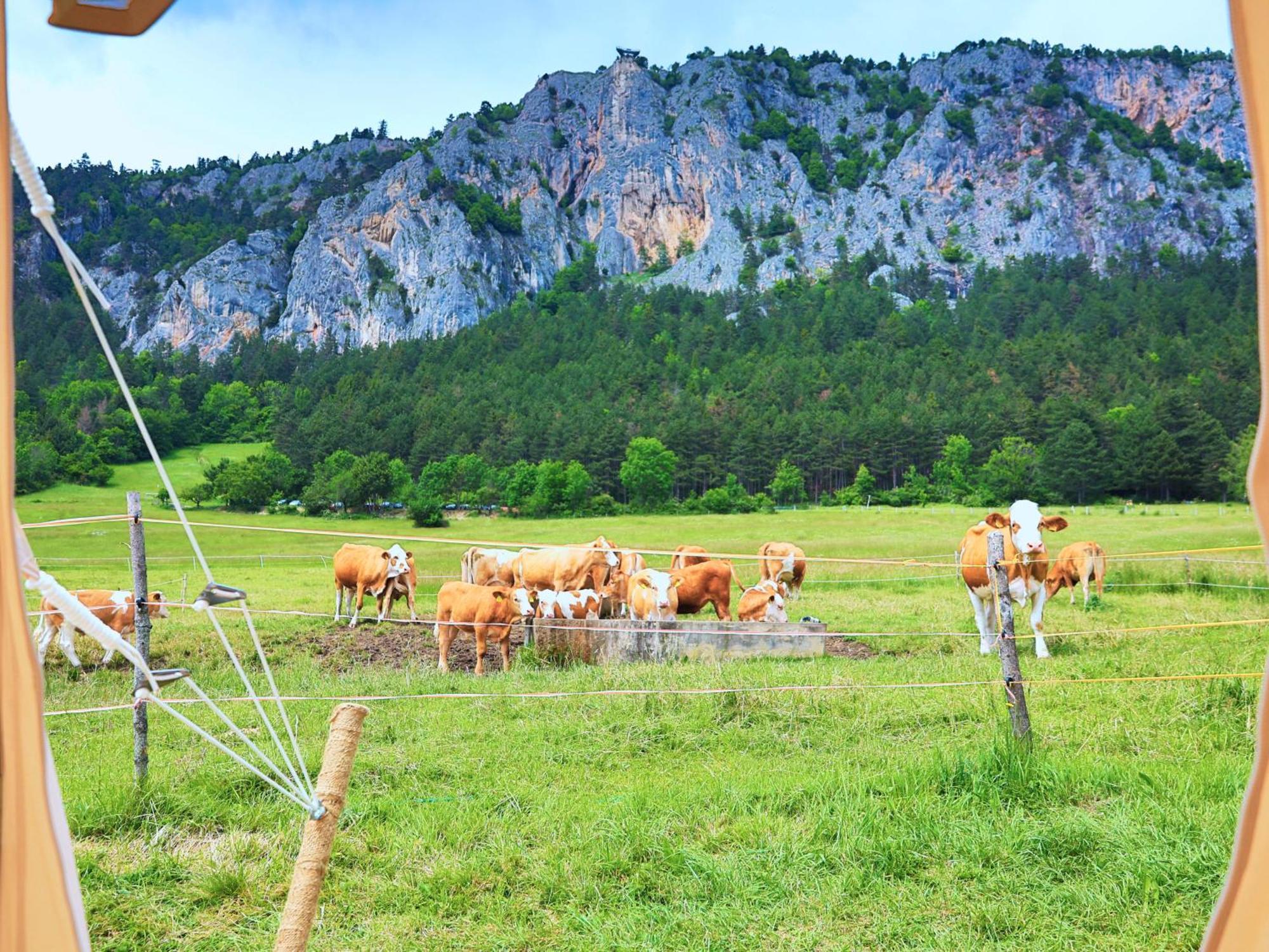 Glamping Hohe Wand - Zelt Mit Sternenfenster Und Whirlpool 호텔 Maiersdorf 외부 사진