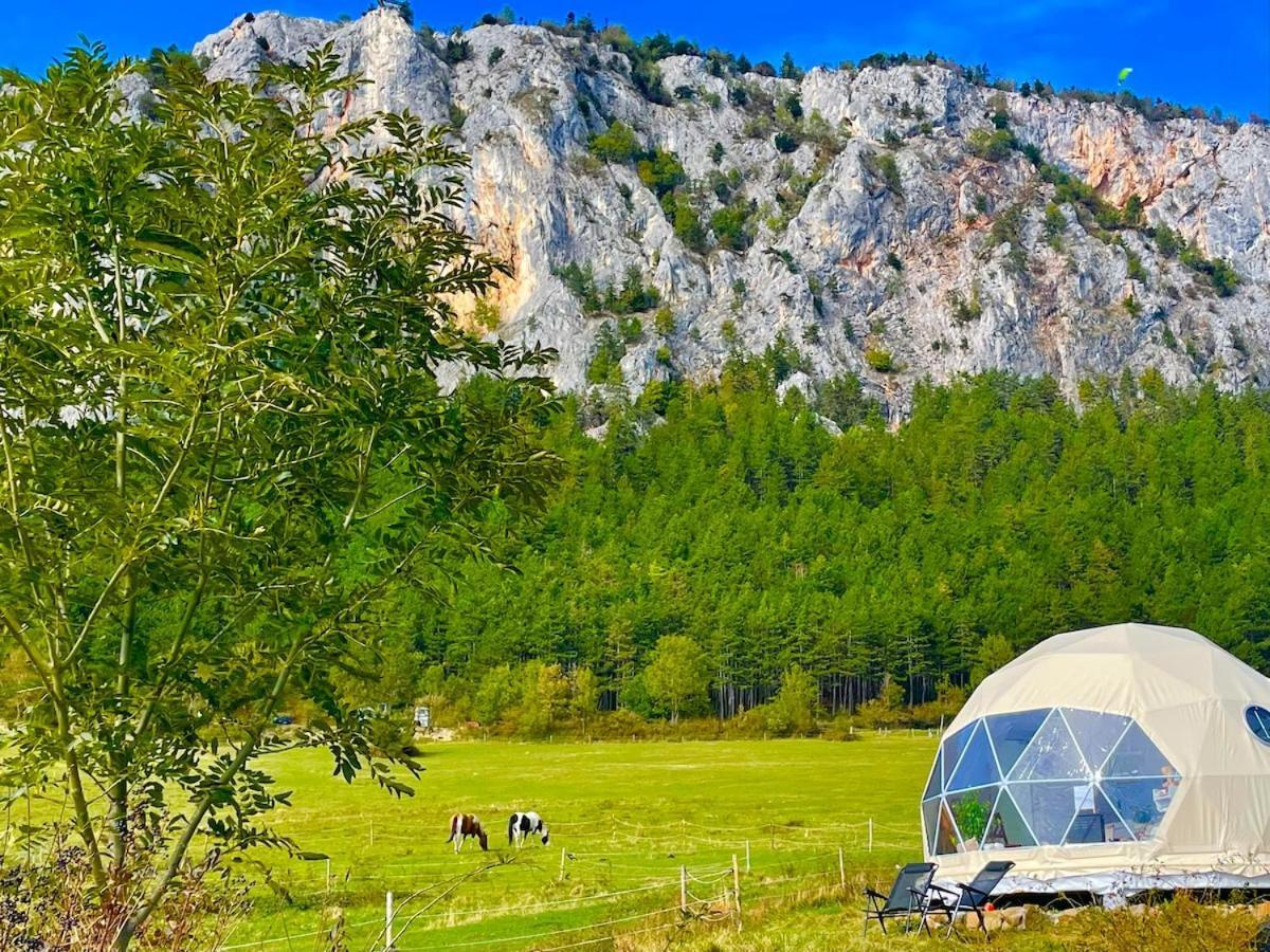 Glamping Hohe Wand - Zelt Mit Sternenfenster Und Whirlpool 호텔 Maiersdorf 외부 사진